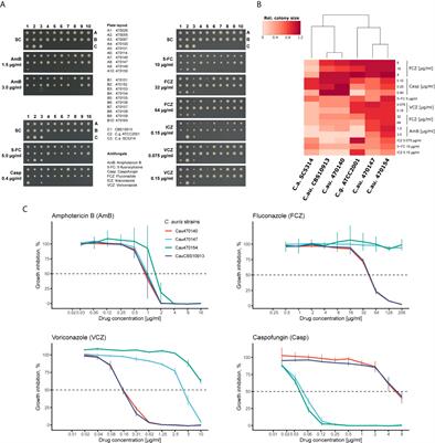 Transcriptome Signatures Predict Phenotypic Variations of Candida auris